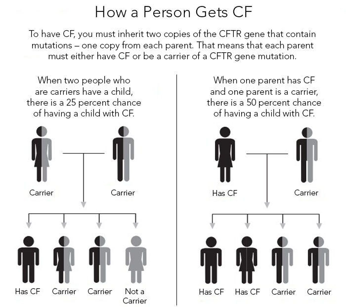 This infographic shows how a person gets CF from their parents. It shows that when two people who are carriers have a child, there is a 25% chance of having a child with CF. When one parent has CF and one parent is a carrier, there is a 50% chance of having a child with CF. 