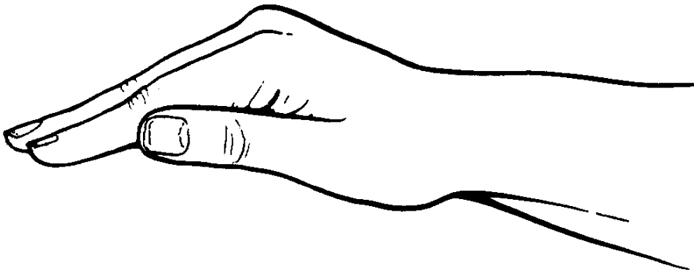 This image is a cupped hand illustration.