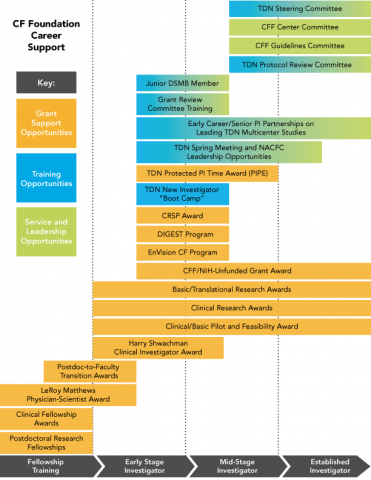 This infographic shows all the career support awards by category: Fellowship Training, Early Stage Investigator, Mid-Stage Investigator, and Established Investigator.